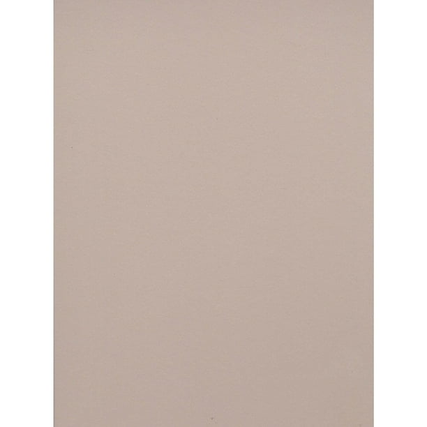 Strathmore Museum Mounting Board Acid Free Photo Gray 2 Ply Each (134