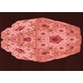 thumbnail image 1 of Ahgly Company Indoor Rectangle Patterned Bean Red Area Rugs, 4' x 6', 1 of 6