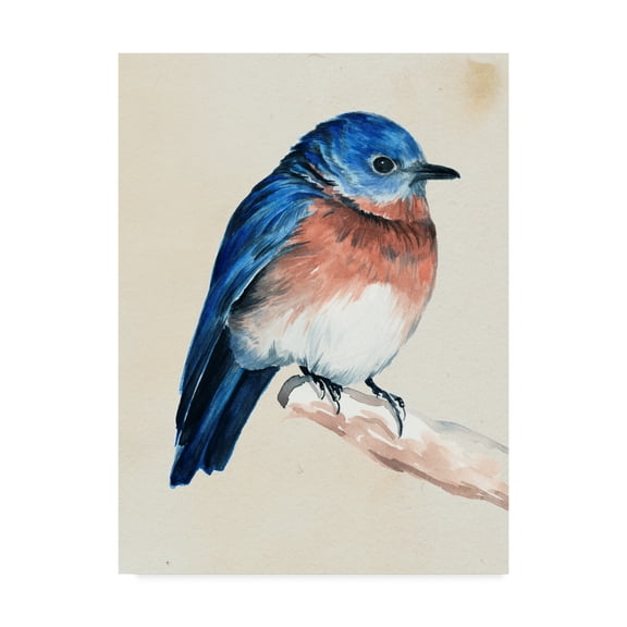 Trademark Fine Art 'Little Bird on Branch I' Canvas Art by Jennifer Paxton Parker