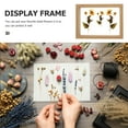 thumbnail image 3 of Glass Display Frame Wooden Frame Specimen Double-sided Glass Frame Picture Frame, 3 of 9