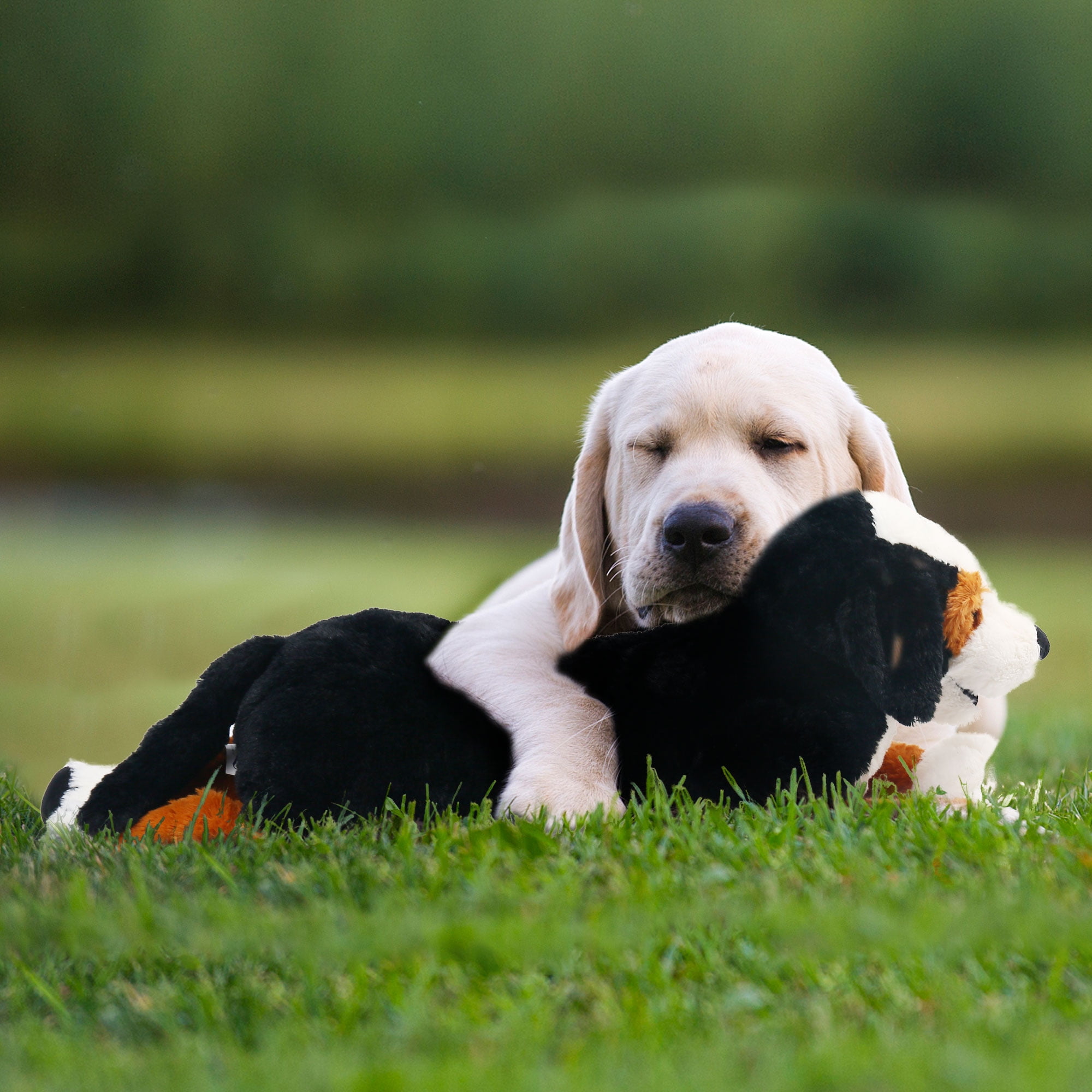 LotFancy 27 in Dog Stuffed Animal, Large Retriever Plush Toy Gift, Black, Brown and White