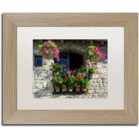 Trademark Fine Art "Window Dressing" Canvas Art by Michael Blanchette Photography White Matte, Birch Frame