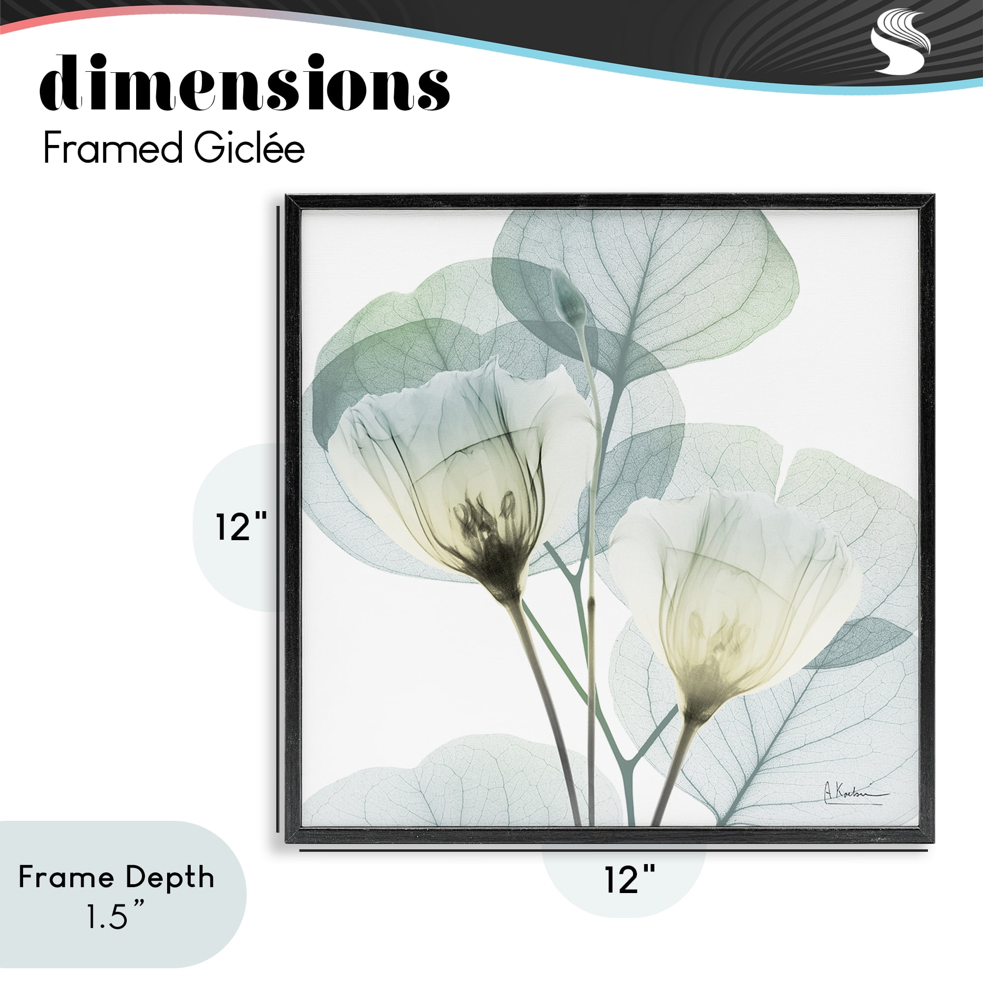 Stupell Industries Divine Fate Flower Leaves Black Framed Giclee Art, design by Albert Koetsier
