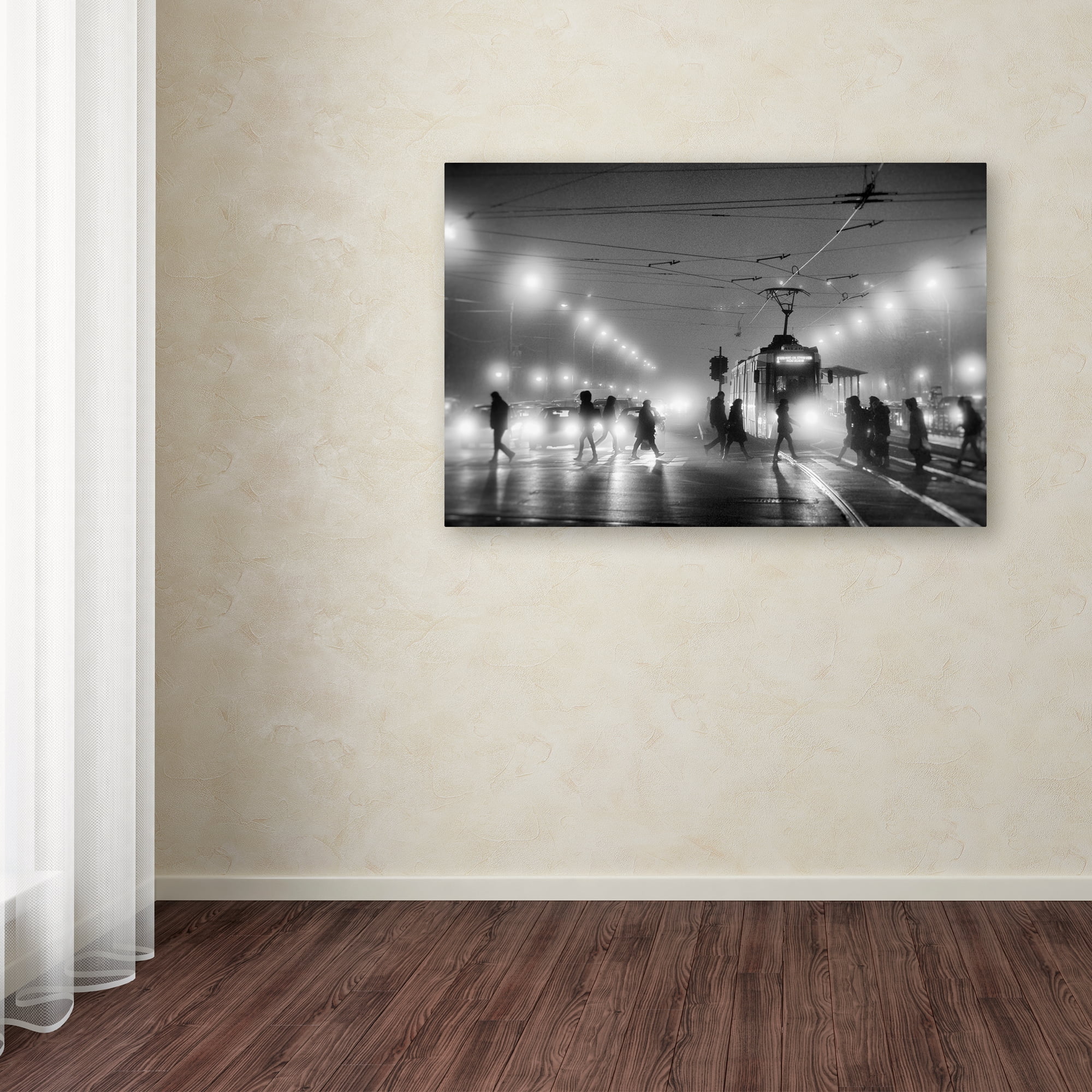 Trademark Fine Art 'In The Mist' Canvas Art by Vrabiuta Albert Adrian