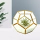 thumbnail image 4 of Presentación Geométrica Decoración del Envase Cobre Gloria Terrario Geométrico, 4 of 9