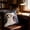 I, variant on Pillow Covers - Soft Protector for Screaming Goat Square Funny Animal Graphic Funny Couch Decoration Living Room Sofa Cushion Cover Dorm Accessory