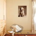 thumbnail image 4 of Golden Retriever Puppy, Animals Unframed Photographic Print Wall Art by Don Mason Sold by ArtCom, 4 of 4