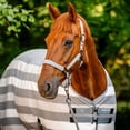 thumbnail image 7 of HORSEWARE IRELAND Newmarket Fleece Cooler Blanket, Color: Witney Charcoal, Size: 66, 7 of 7