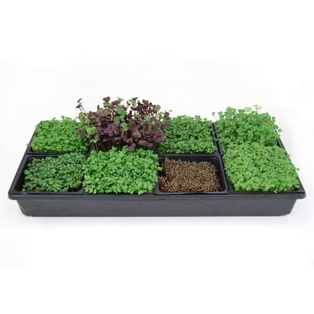 Hydroponic Sectional Microgreens Growing Kit - Grow Micro Greens & Herbs Indoor Gardening: All Supplies - Seeds, Trays, Instructions,