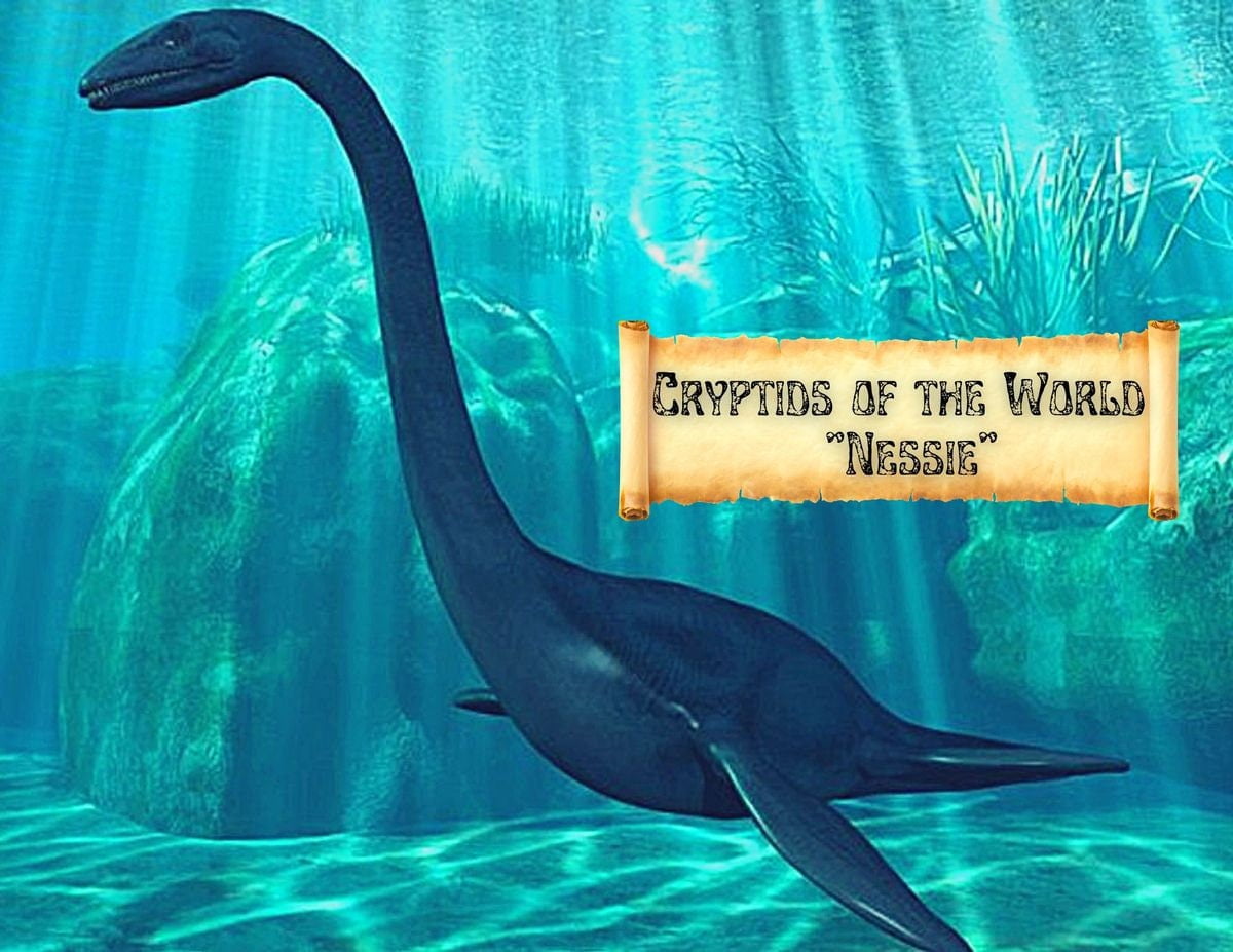 Cryptids of the World - Lochness / Made to Order / Design by Big Bear ...