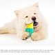 thumbnail image 3 of Simulación Popsicle Dog Chew Toy Multifuncional Pet Cool Down Teeting Toy Dog Stick Para Cepillo De Dientes Para Todo Tipo De Perros Eigraketly PT002543-01, 3 of 6