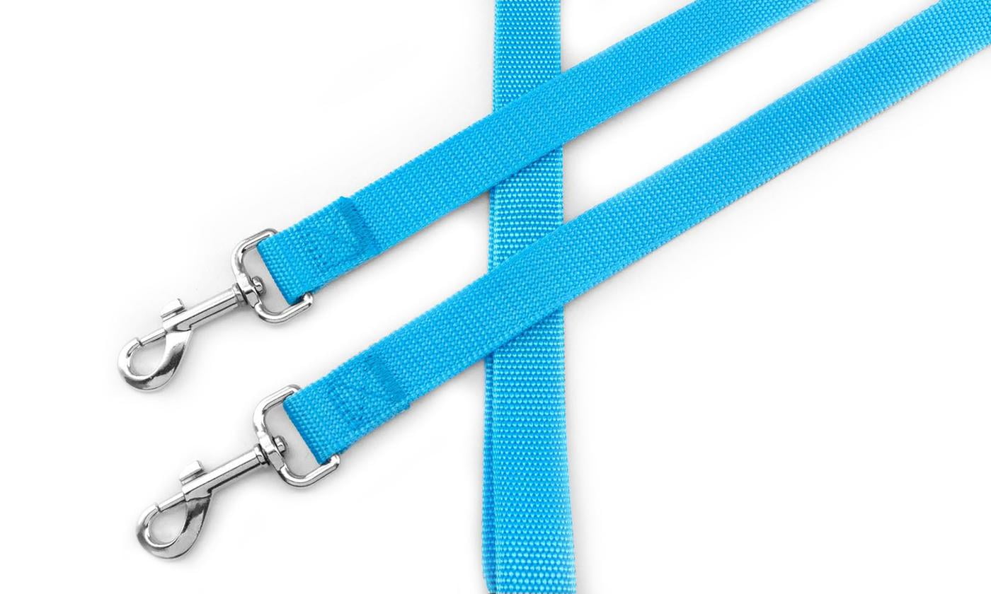 light blue dog harness