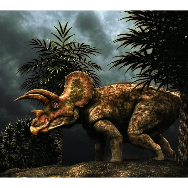 Triceratops was a herbivorous dinosaur  from the Cretaceous 