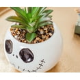 thumbnail image 4 of Planta decorativa artificial con vegetación artificial Silver Buffalo, 4 of 7