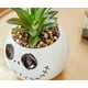thumbnail image 4 of Planta decorativa artificial con vegetación artificial Silver Buffalo, 4 of 7