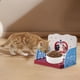 thumbnail image 3 of Comedero elevado para gatos Comedero para gatos de interior Plataforma para cuencos Soporte de altura ajustable, 3 of 4