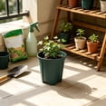 thumbnail image 3 of Air Pruning Plant Pot, Slotted Nursery Container For Orchid Herb Vegetable, Breathable Side Vents Prevent Root Binding For Indoor Windowsill Garden, 3 of 6