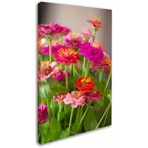 Trademark Fine Art "Meaning of Love" Canvas Art by Philippe Sainte-Laudy