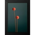 thumbnail image 2 of 1x Studio III 11x14 Black Modern Framed Museum Art Print Titled - Orange Seed Capsules, 2 of 5