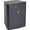 Black, variant on Control 25AV Compact Indoor Outdoor Background Foreground Loudspeaker