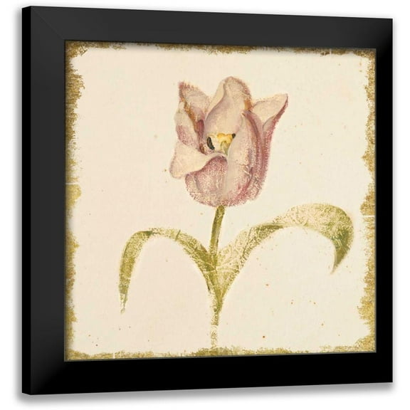 Blum, Cheri 12x12 Black Modern Framed Museum Art Print Titled - Vintage Blue Parrot Tulip Crop