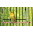 thumbnail image 2 of Prevue Pet Products Patio Perch for Bird Cage 360, 2 of 4