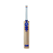 GM SPARQ 808  JUNIOR Cricket Bat 2022