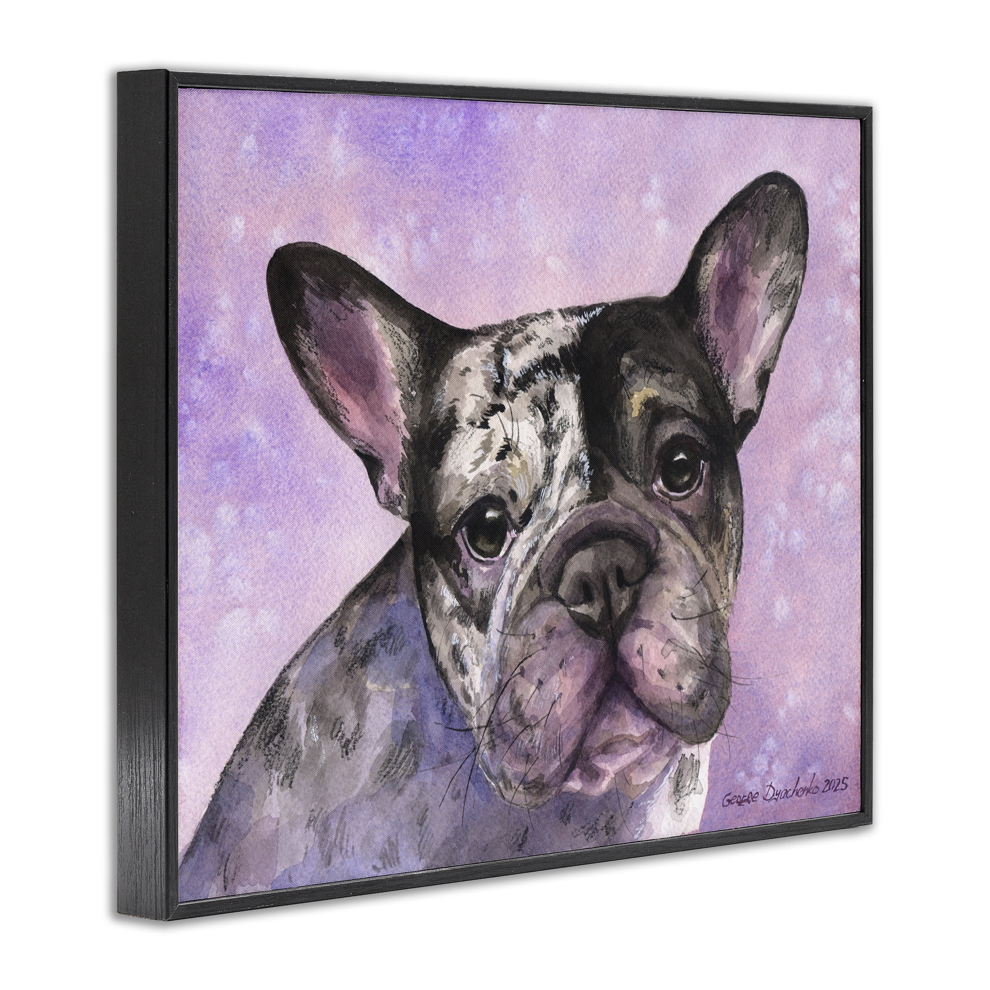 Stupell Industries Harlequin French Bulldog Black Framed Giclee Art, design by George Dyachenko