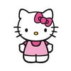 Wind N Sun Hello Kitty SkyPals 27 DLX Nylon Kite Hello Kitty