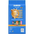 thumbnail image 3 of Iams Healthy Enjoyment Chicken & Salmon Recipe Dry Cat Food, 3 Lb Bag, 3 of 8