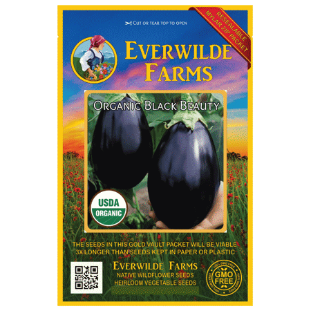 Everwilde Farms - 125 Organic Black Beauty Eggplant Seeds - Gold Vault Jumbo Bulk Seed