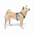 thumbnail image 2 of YOULY Comfort Neoprene Dog Harness Blue X-Large, 2 of 8