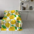 thumbnail image 4 of Soft Blanket Plush Warm Flannel Sofa Couch Chair Throw Blanket 50x60 inch Luxury Fluffy Lightweight Blankets for Bedroom Living Room Decor, Summer Fruit Theme Lemon, 4 of 6