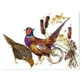 thumbnail image 2 of Design Art - Bird pheasant watercolor illustration, 2 of 4
