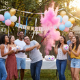 thumbnail image 2 of Gender Reveal Party Powder Baseball Set, 4 Pcs Baseballs with Pink Blue Powder, Baby Gender Announcement Party Favors Supplies, 2 of 5