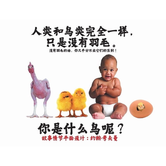 人类和鸟类完全一样，, (Paperback)