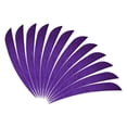 thumbnail image 1 of ZheElen 12pcs 3inch Archery Turkey Feathers Fletchings Vanes Purple 3 Inch 1Set, 1 of 6