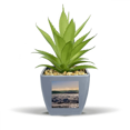 thumbnail image 1 of Sunshine Ocean Water Wave Science Nature Picture Fake Pineapple Flower Pot Vase Mini Decor, 1 of 3
