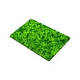thumbnail image 2 of RYLABLUE Tapis de Sol Intérieur Extérieur en Trèfle 23.6x15.7 Pouces, 2 of 2