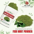 thumbnail image 2 of FISH MINT POWDER 2.47 Oz (70g) VIETFARMFOOD: Natural pure, convection dried seasoning made from real vegetable perfect for adding flavor to any meal, from cooking, baking, salad, soup, sauce, 2 of 7