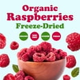 thumbnail image 4 of Organic Freeze-Dried Raspberries, 1.5 Ounces – Non-GMO, Kosher, Bulk - by Food to Live, 4 of 7