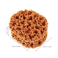 thumbnail image 2 of CNKOO Extra Large Sponge Sponges for Painting Seaweed Tool Baby, 2 of 8