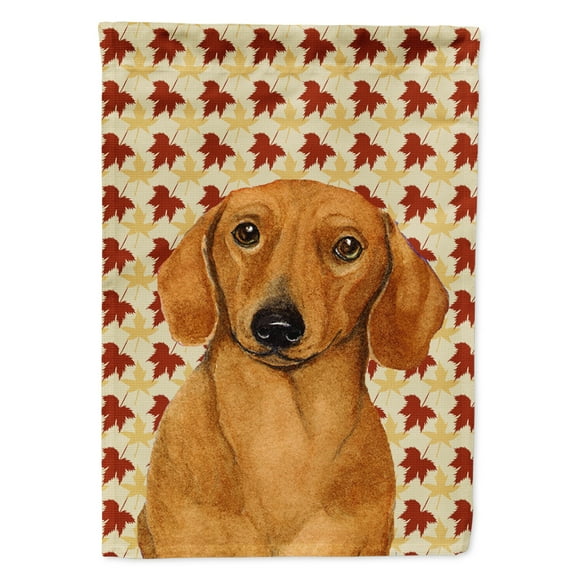 Carolines Treasures LH9087-FLAG-PARENT Dachshund Fall Leaves Portrait Flag  multicolor
