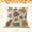 A, variant on Autumn Decorative Pillow Cover 45 cm x 45 cm Velvet Embroidered Maple Leaves And Pumpkin Design For Living Room Sofa Bedroom