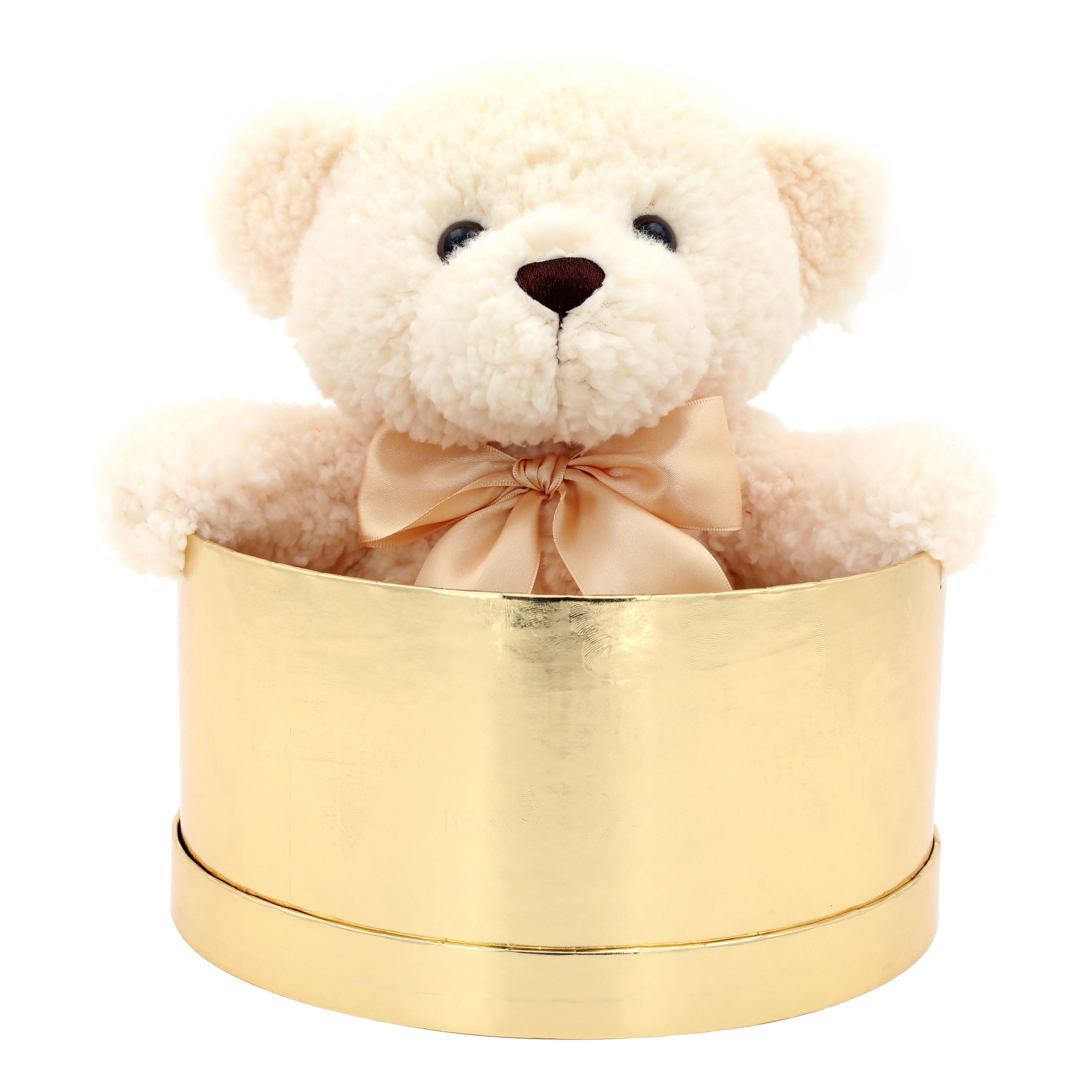 Way to Celebrate! Valentine's Day Plush Rose Scented Teddy Bear in Deluxe Gift Box, Ivory