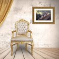 thumbnail image 3 of Barbieri, Gianfranco 18x13 Gold Ornate Wood Framed with Double Matting Museum Art Print Titled - Lynx At Sunset, 3 of 4