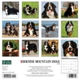 thumbnail image 2 of Just Bernese Mountain Dog 2024 12 X 12 Wall Calendar (Other), 2 of 4