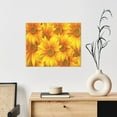 thumbnail image 6 of Naloa 3D Sunflowers Print Canvas Bathroom Wall Art,Bathroom Wall Art Decoration, Canvas Poster Prints,Decorative Paintings for Living Room, Bathroom, Kids Room, 6 of 6