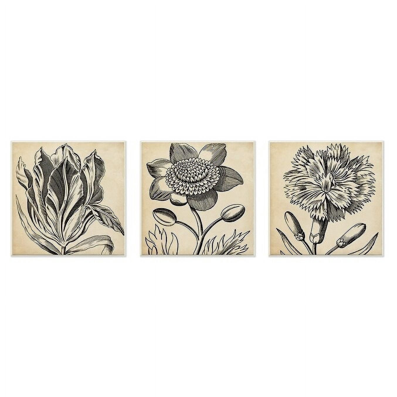 The Stupell Home Decor Graphic Black and Tan Botanical Drawing Trio Wall Plaque Art, 3pc, each 12 x 12