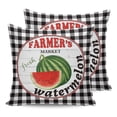 thumbnail image 7 of Outdoor Throw Pillow Cover Farm Wooden Plank and Watermelon Waterproof Cushion Covers 2 Pack White and Black Checker Pillow Cases Home Decoration for Patio Garden Couch Sofa, 7 of 7